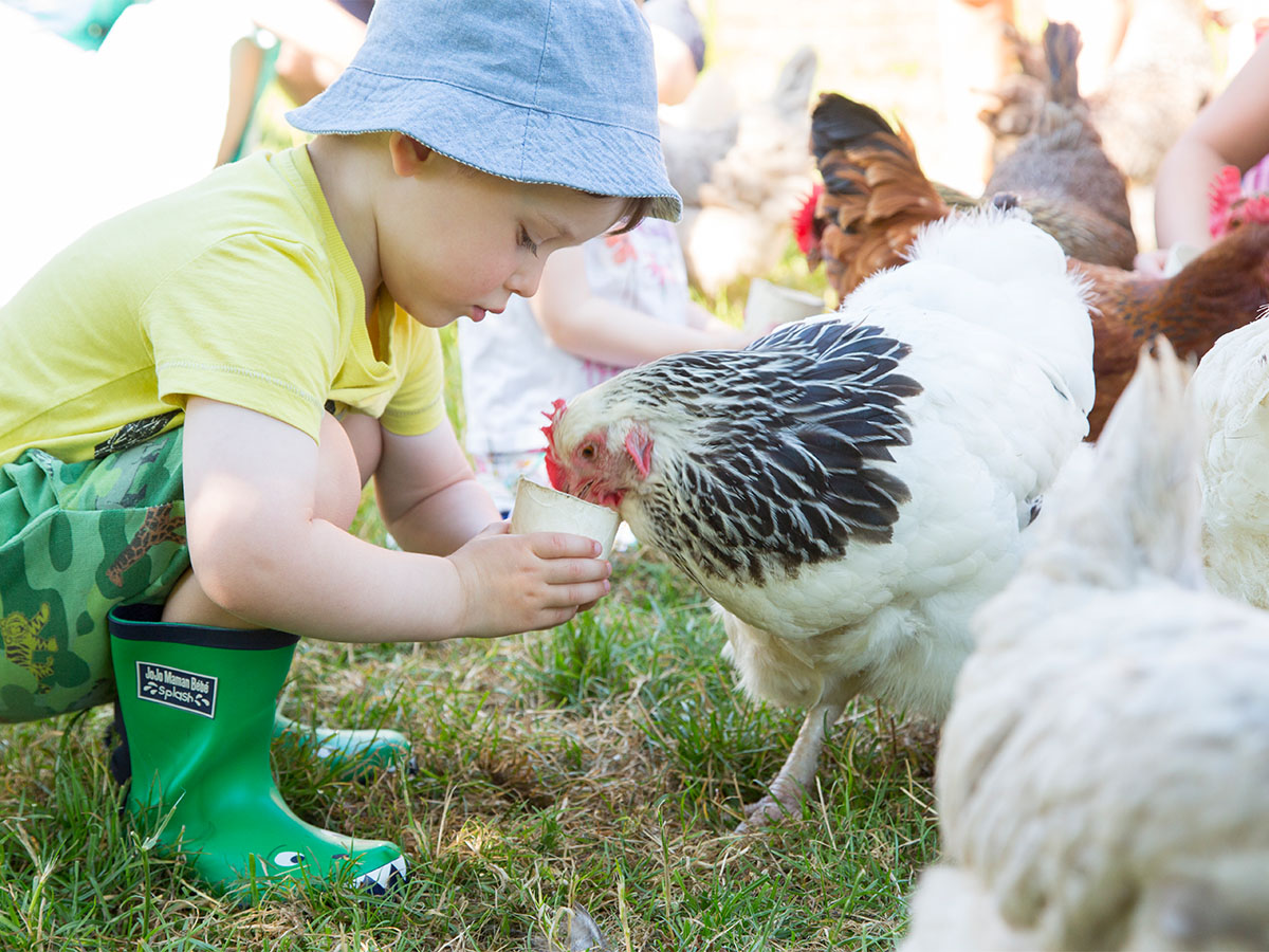 A toddler in a blue hat and green wellies feeds a chicken from a cup outside