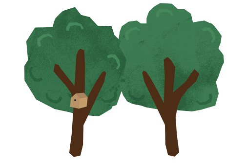 PNG of trees
