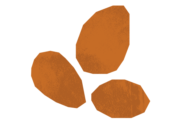 PNG of eggs