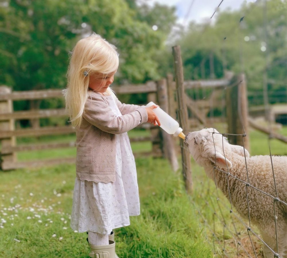 A young girl bottle-feeding a sheep through a wire fence
