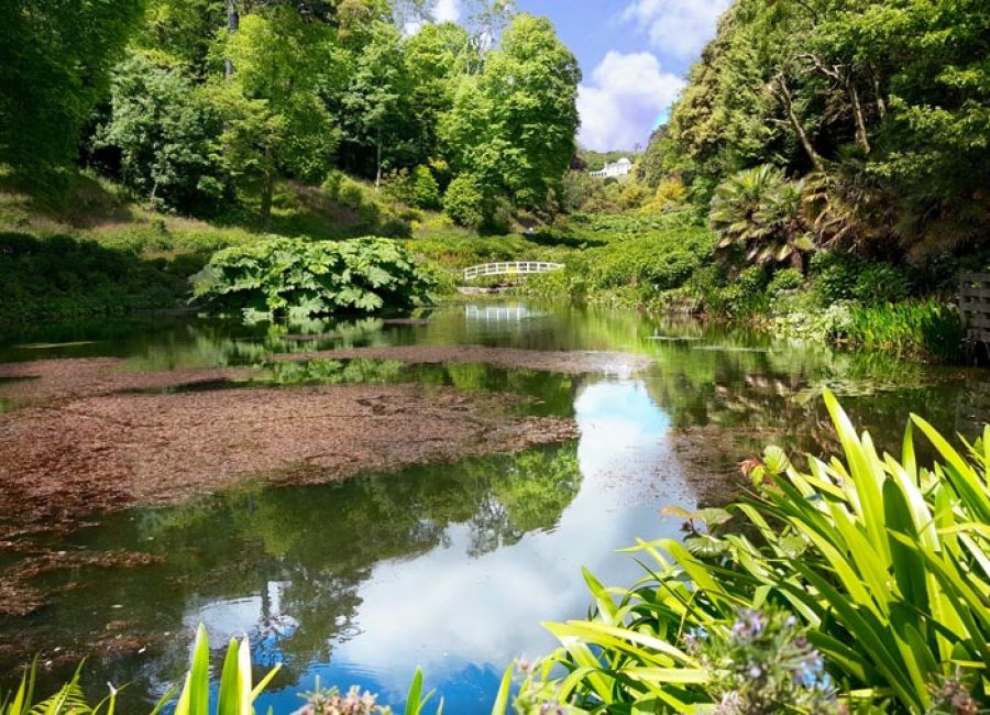 Low shot of the lake and bridge at The Lost Gardens of Heligan in Cornwall