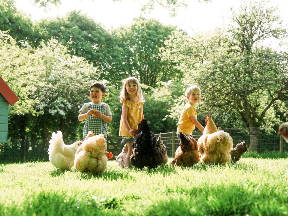Low angle shot of three small children smiling and feeding a group of chickens