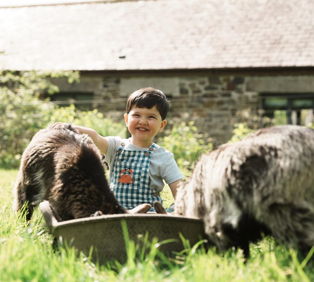 Young boy smiling in overalls sitting with goats as they feed from the trough