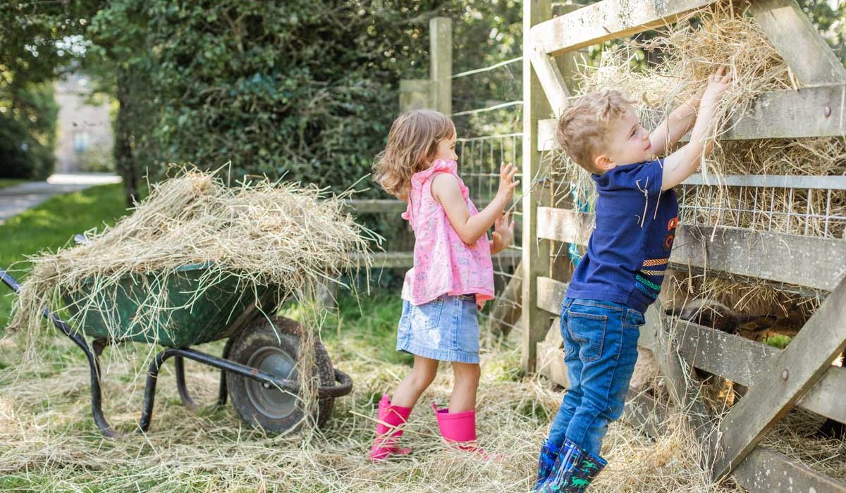 Two young children helping fill a hay rack on a farm in Cornwall, UK