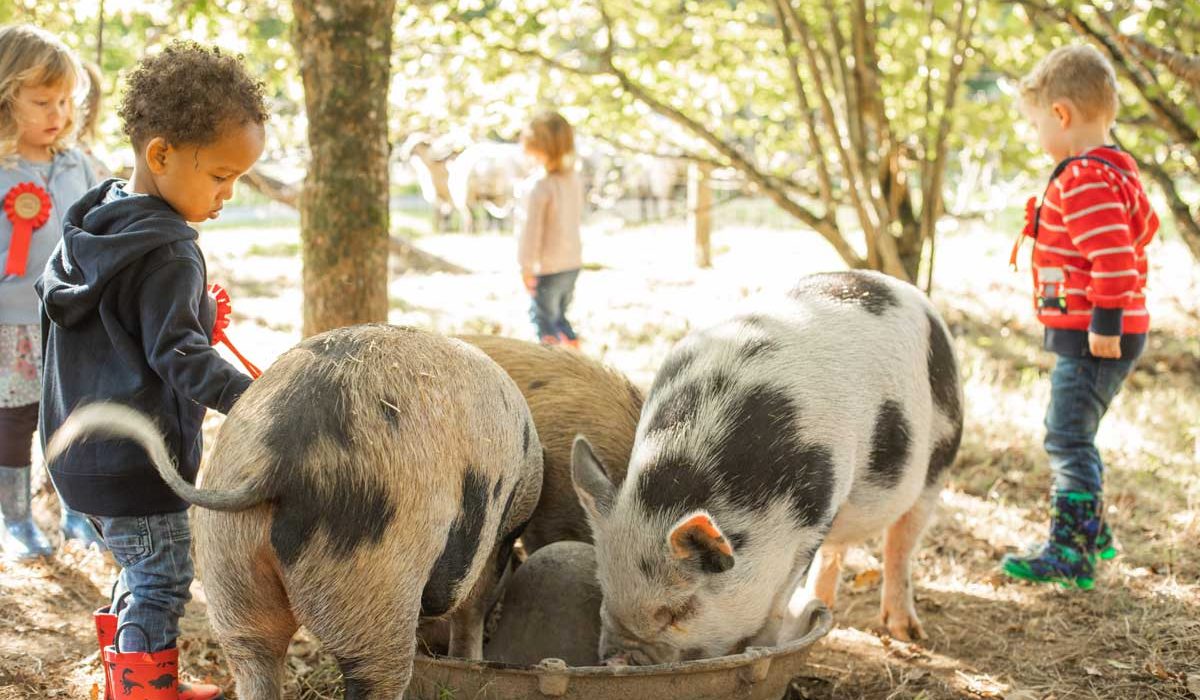 Toddlers in wellies helping to feed the pigs in a woodland.