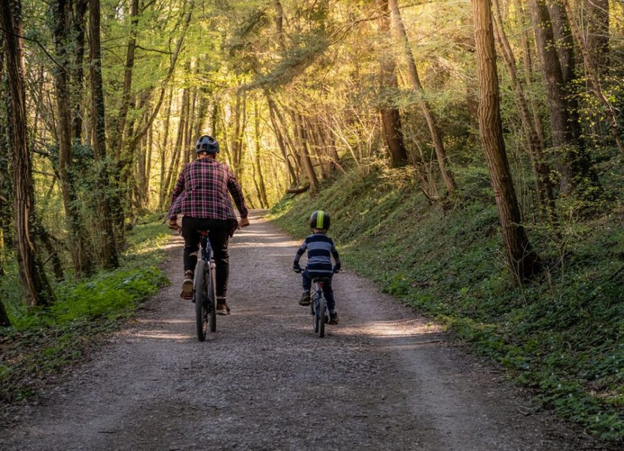 Father and son cycling together along a country road in a woodland in Cornwall.