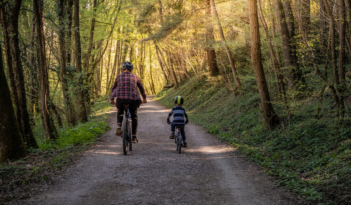 Father and Son mountain biking in the woodland in Cornwall